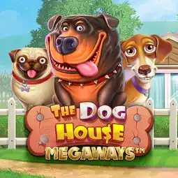 The Dog House Megaways gra w Ivibet Casino dla graczy z Polski The Dog House Megaways gra w Ivibet Casino dla graczy z Polski