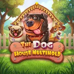 The Dog House Multihold gra w Ivibet Casino dla graczy z Polski The Dog House Multihold gra w Ivibet Casino dla graczy z Polski
